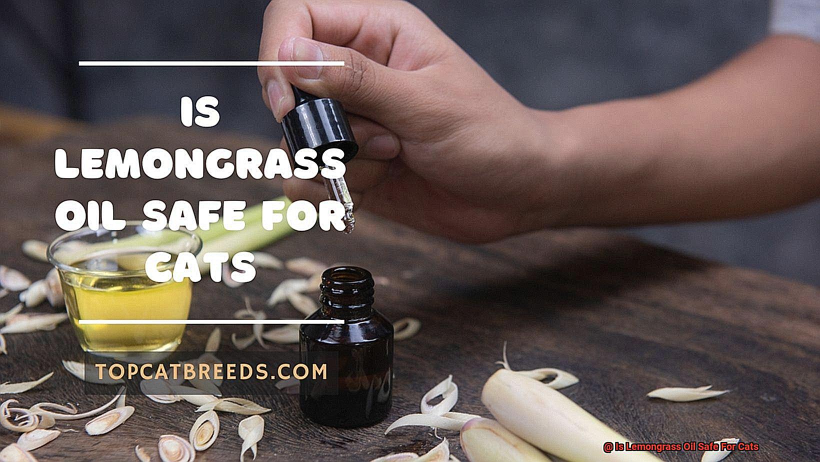 Is Lemongrass Oil Safe For Cats-5