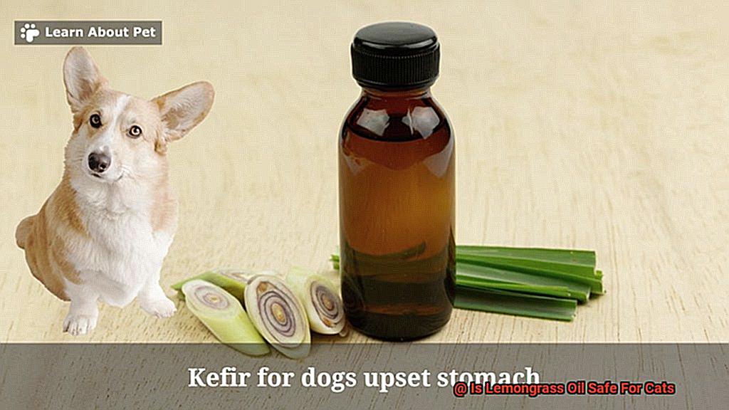 Is Lemongrass Oil Safe For Cats-9