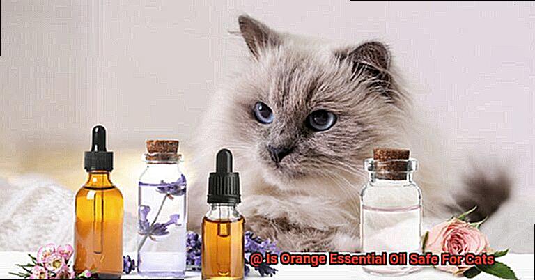 Is Orange Essential Oil Safe For Cats-6