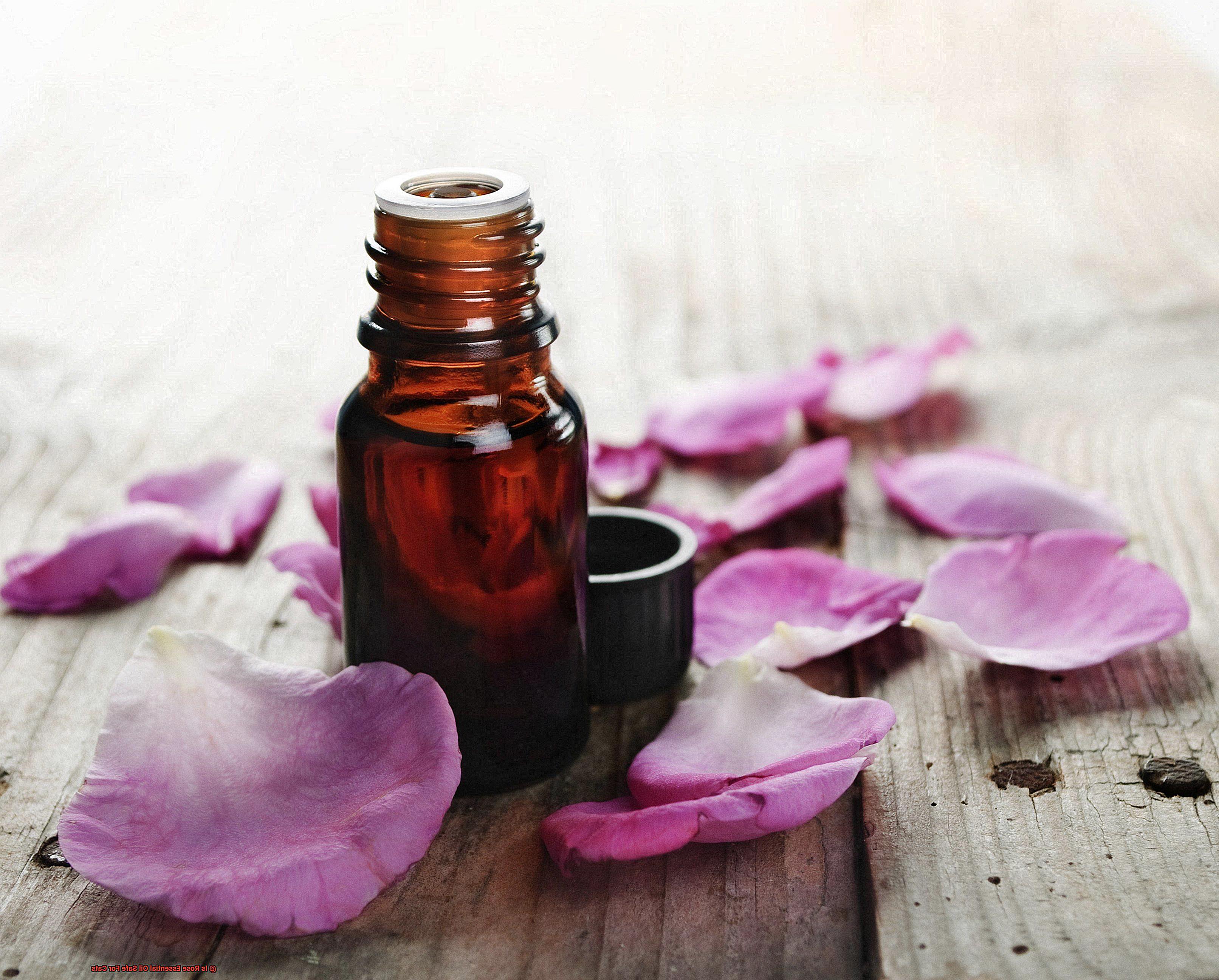 Is Rose Essential Oil Safe For Cats-4