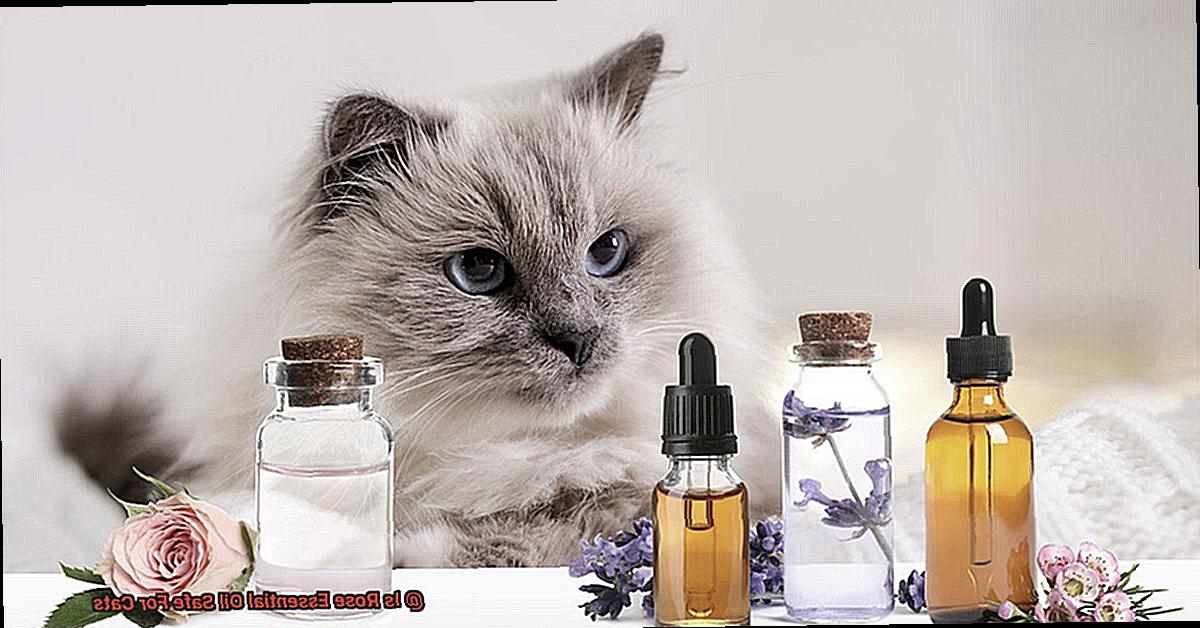 Is Rose Essential Oil Safe For Cats-2