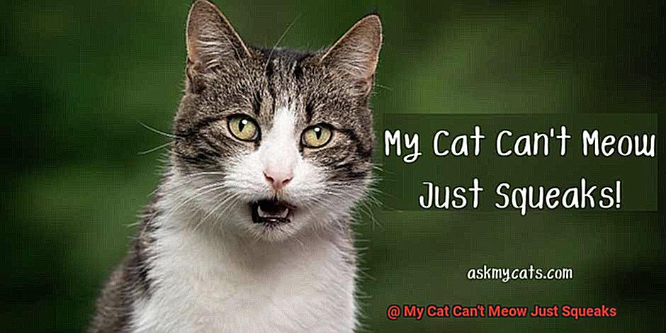 My Cat Can't Meow Just Squeaks-2