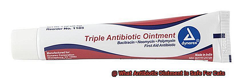 What Antibiotic Ointment Is Safe For Cats-2
