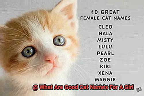 What Are Good Cat Names For A Girl-2