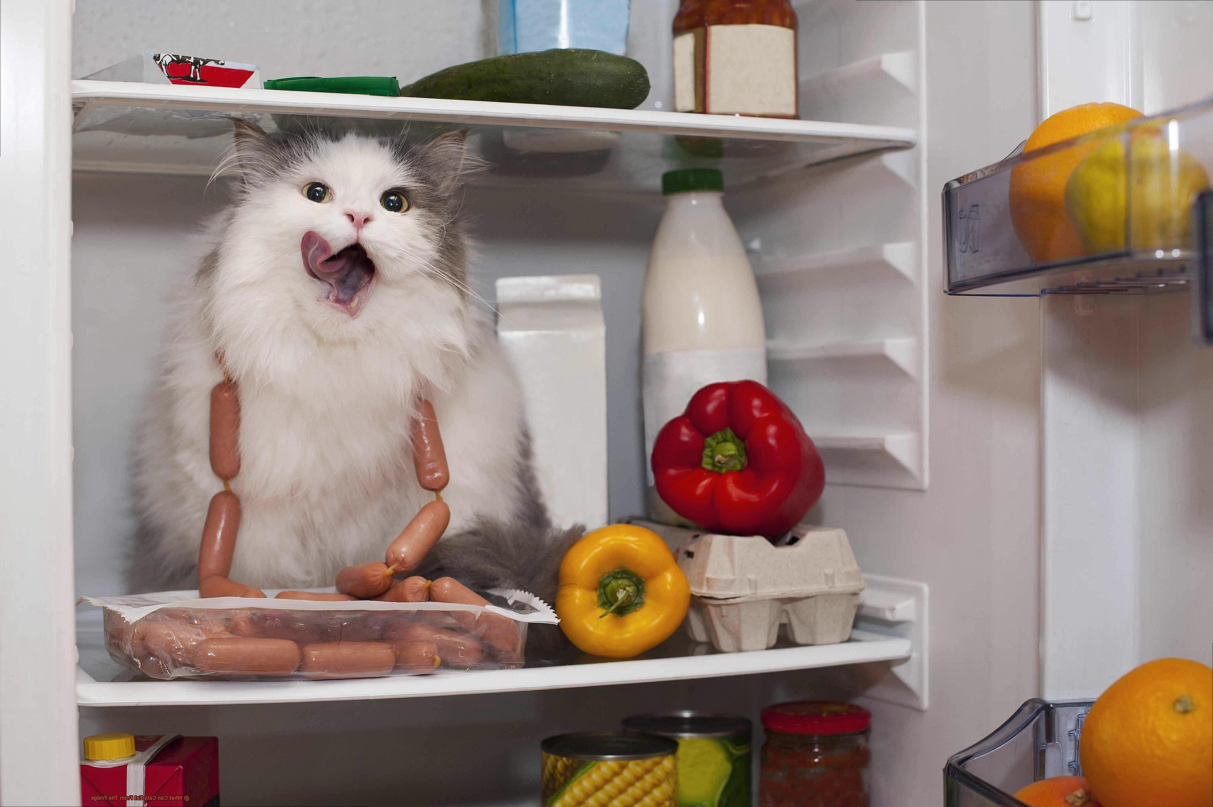 What Can Cats Eat From The Fridge-2