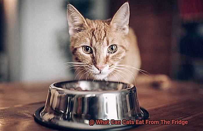 What Can Cats Eat From The Fridge-6