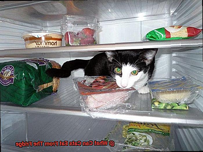 What Can Cats Eat From The Fridge-3