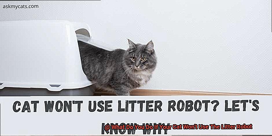 What Do You Do If Your Cat Won't Use The Litter Robot-3