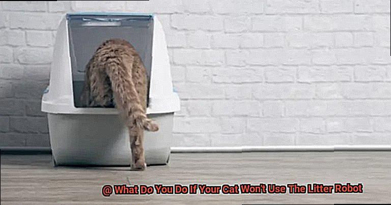 What Do You Do If Your Cat Won't Use The Litter Robot-2