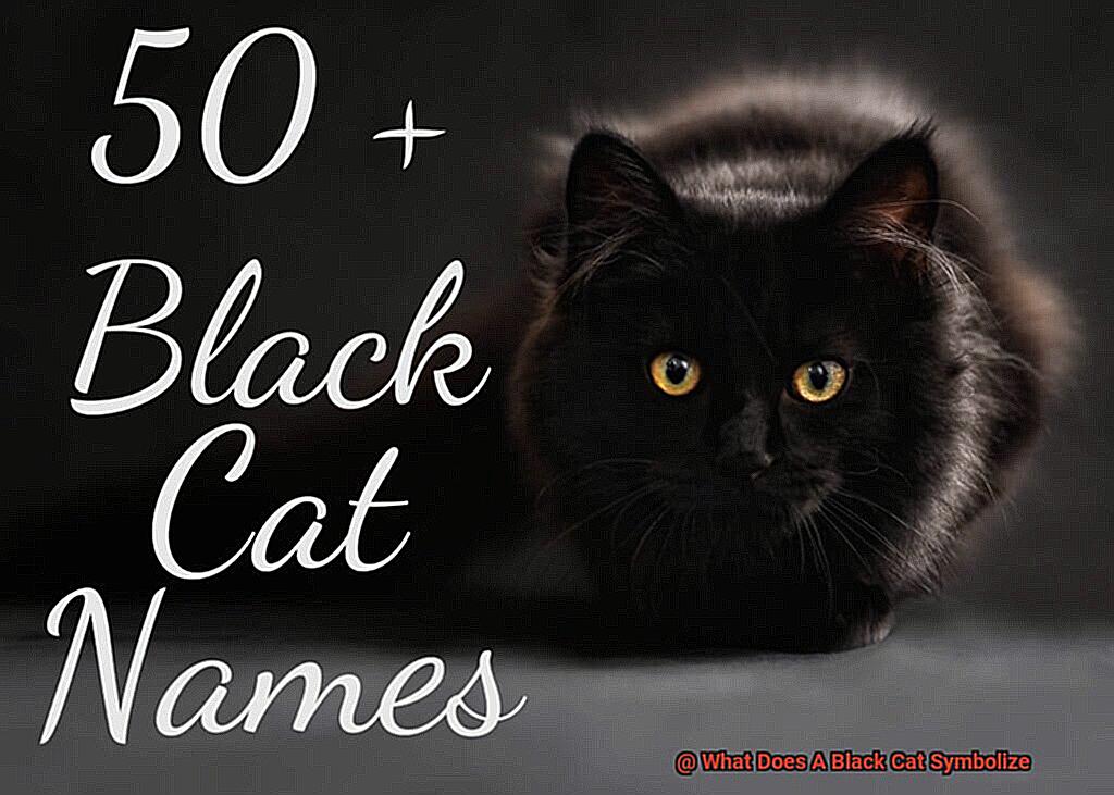 What Does A Black Cat Symbolize-2