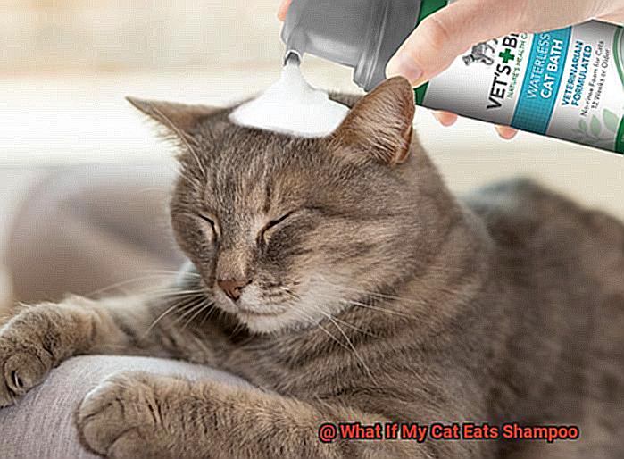 What If My Cat Eats Shampoo-12