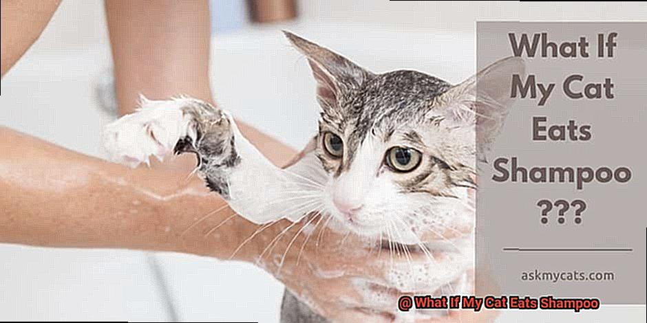 What If My Cat Eats Shampoo-7