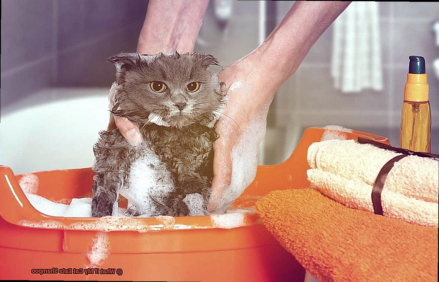 What If My Cat Eats Shampoo-8