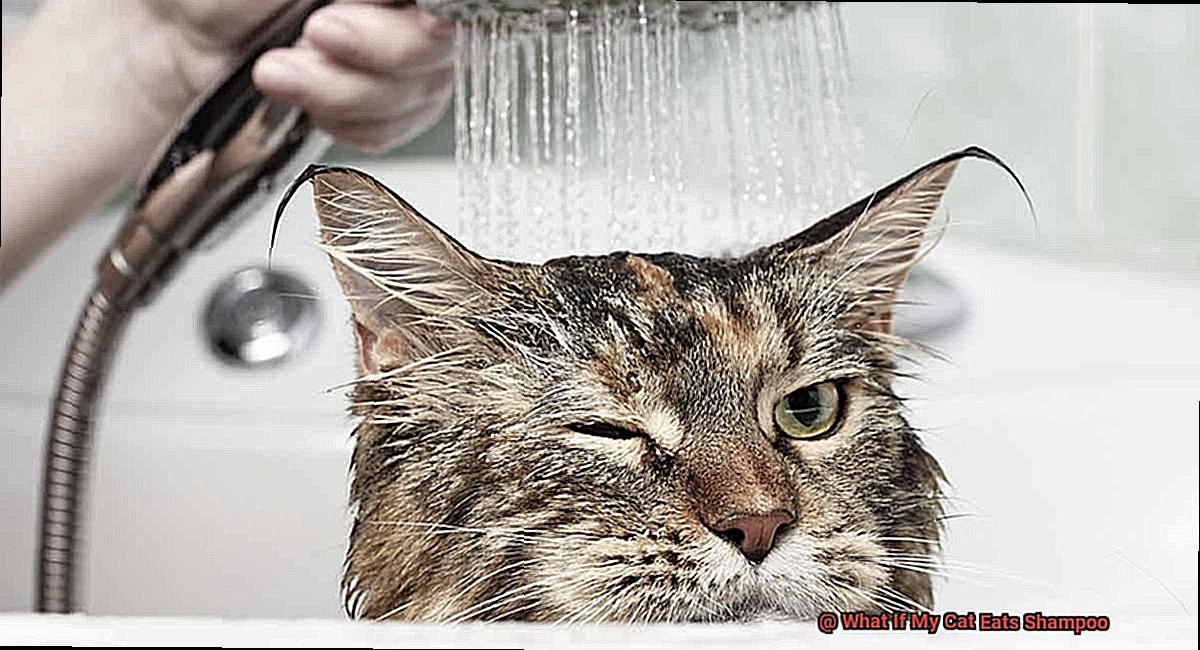 What If My Cat Eats Shampoo-9