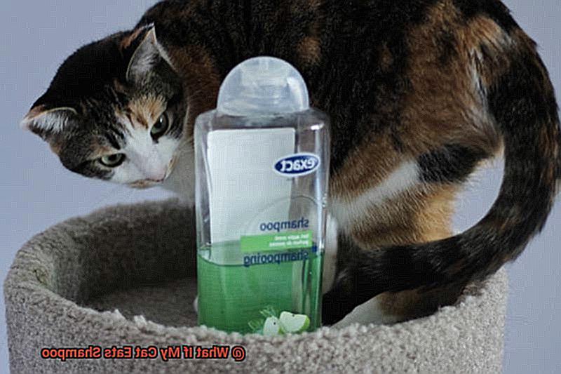 What If My Cat Eats Shampoo-2