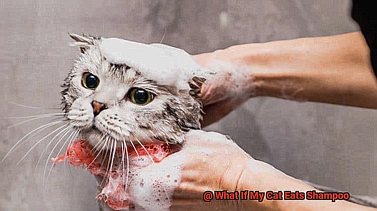 What If My Cat Eats Shampoo-11