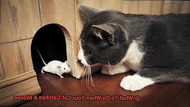 What To Do When Your Cat Catches A Mouse 989777cdb8