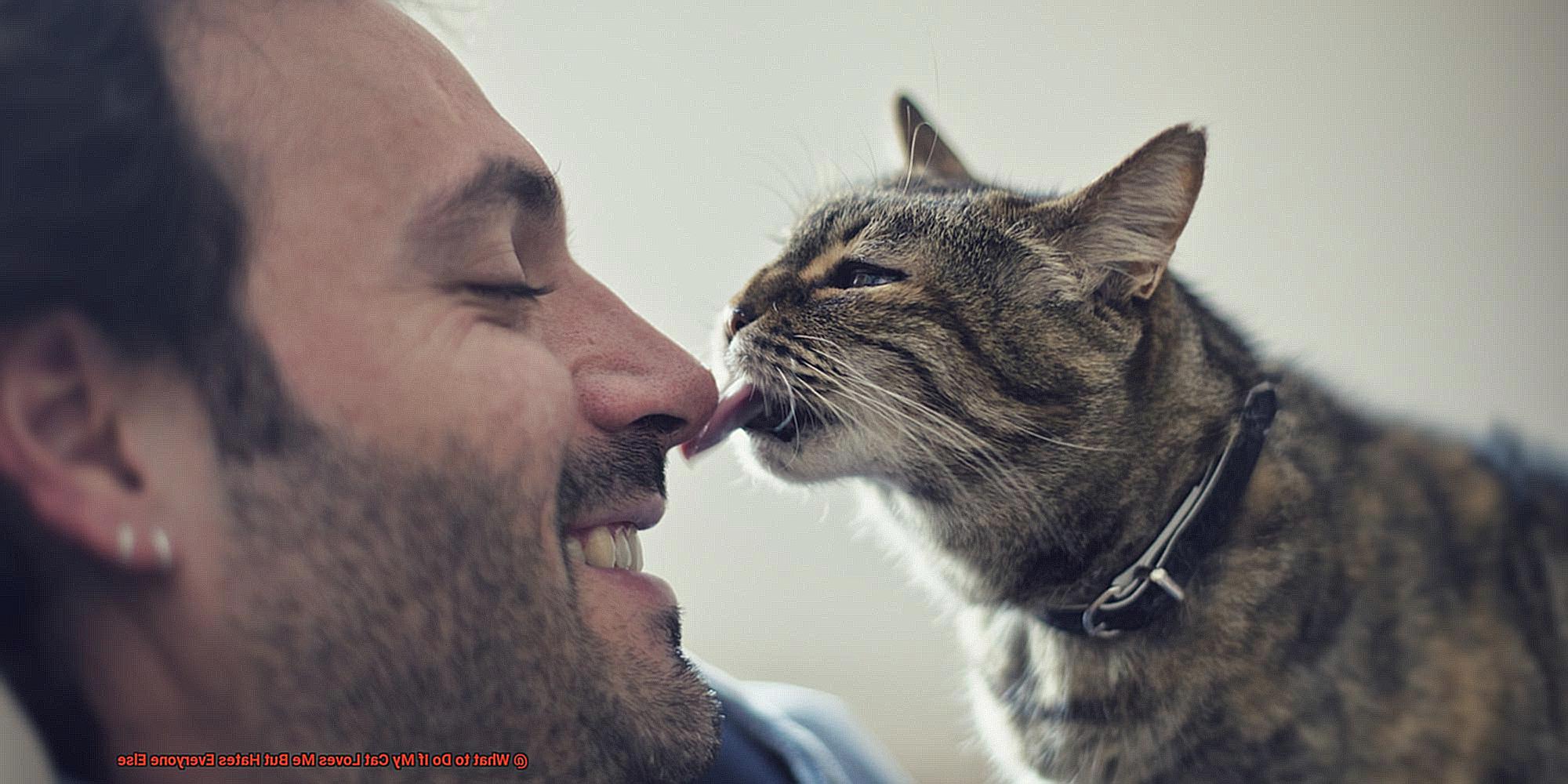 What to Do If My Cat Loves Me But Hates Everyone Else-4