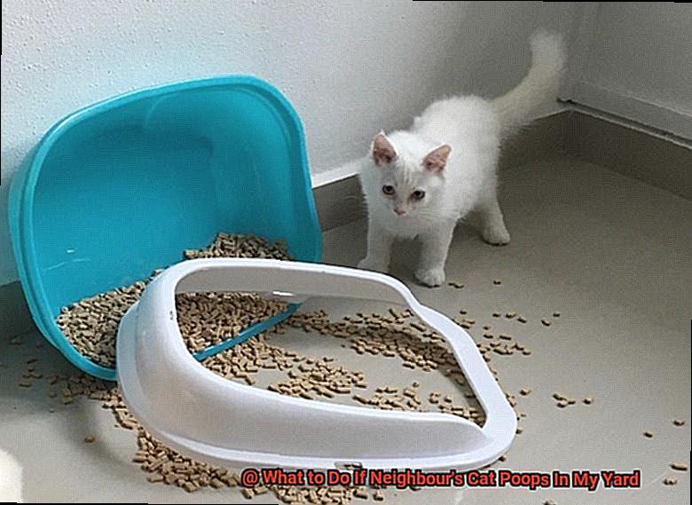 What to Do If Neighbour's Cat Poops In My Yard-6