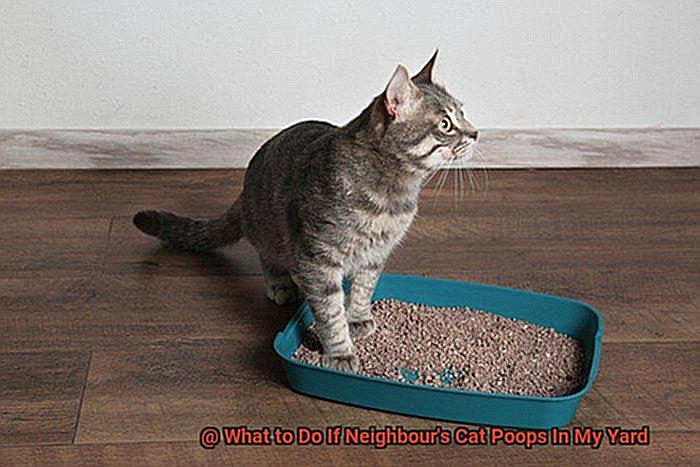 What to Do If Neighbour's Cat Poops In My Yard-2