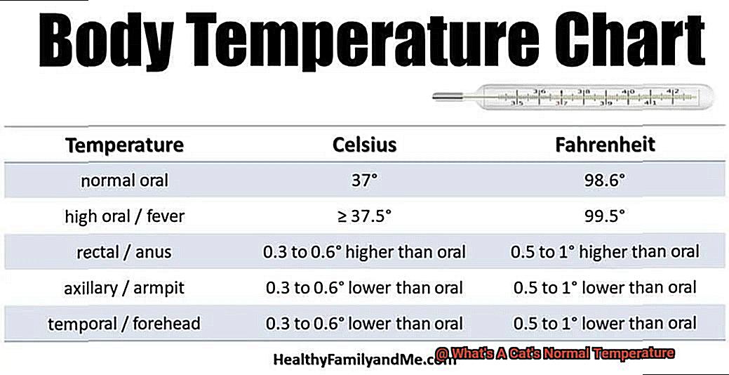 What's A Cat's Normal Temperature-4