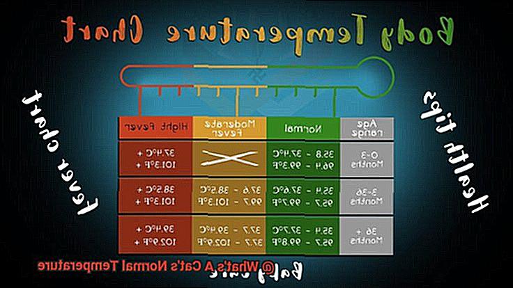 What's A Cat's Normal Temperature-2