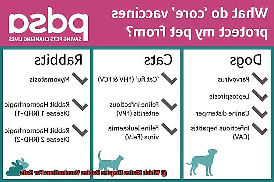 Which States Require Rabies Vaccinations For Cats-2