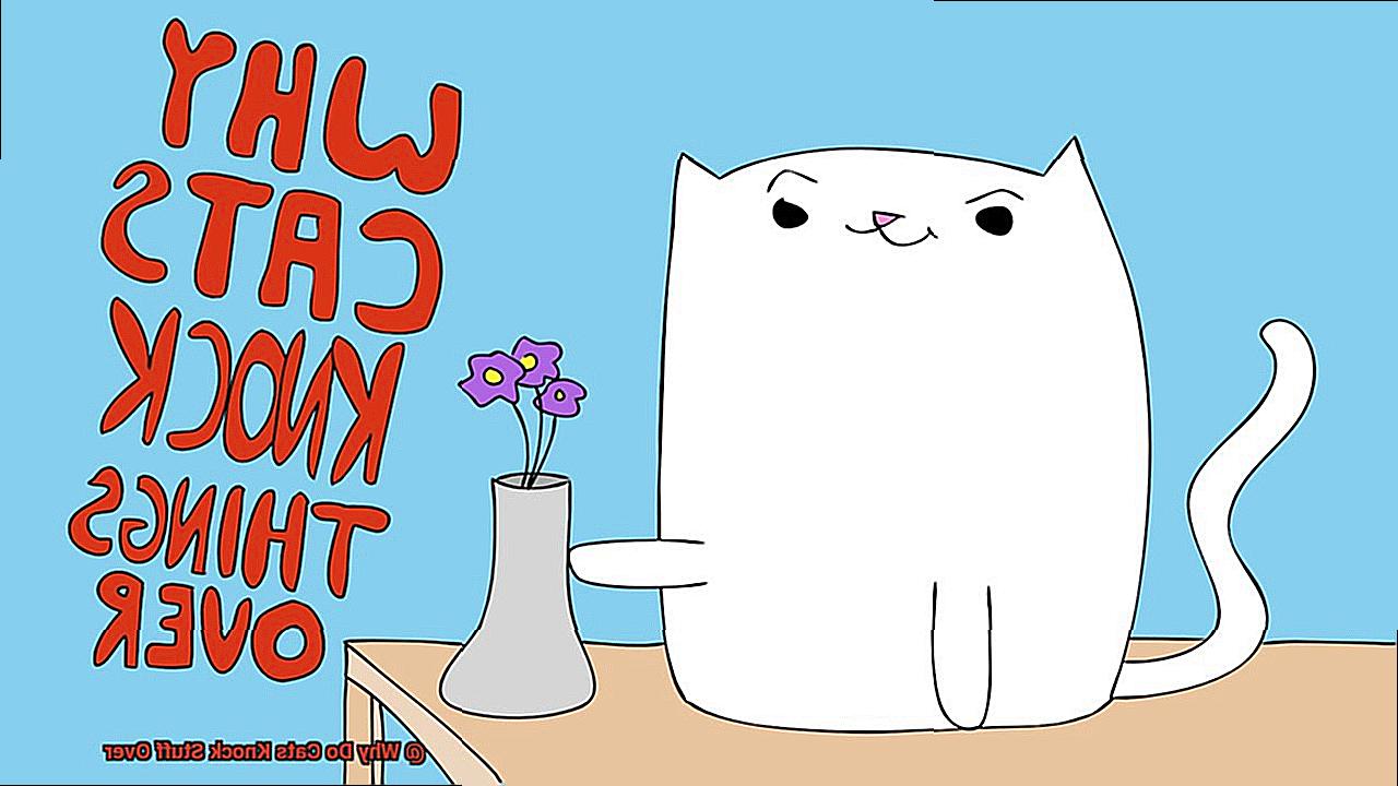Why Do Cats Knock Stuff Over 21Cats