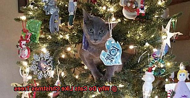 Why Do Cats Like Christmas Trees-7