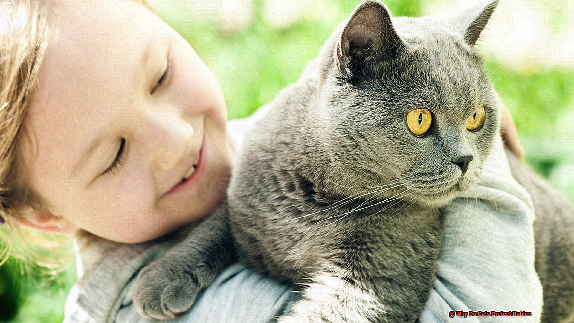 Why Do Cats Protect Babies?