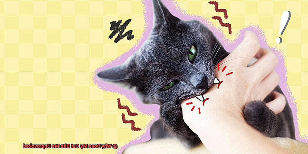 Why Does My Cat Bite Me Unprovoked-4