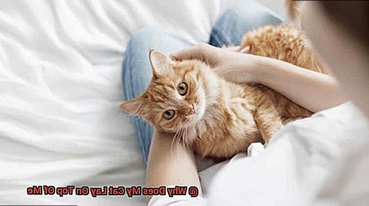 Why Does My Cat Lay On Top Of Me-2