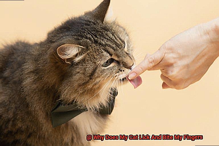Why Does My Cat Lick And Bite My Fingers-4