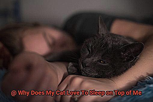Why Does My Cat Love To Sleep on Top of Me-3
