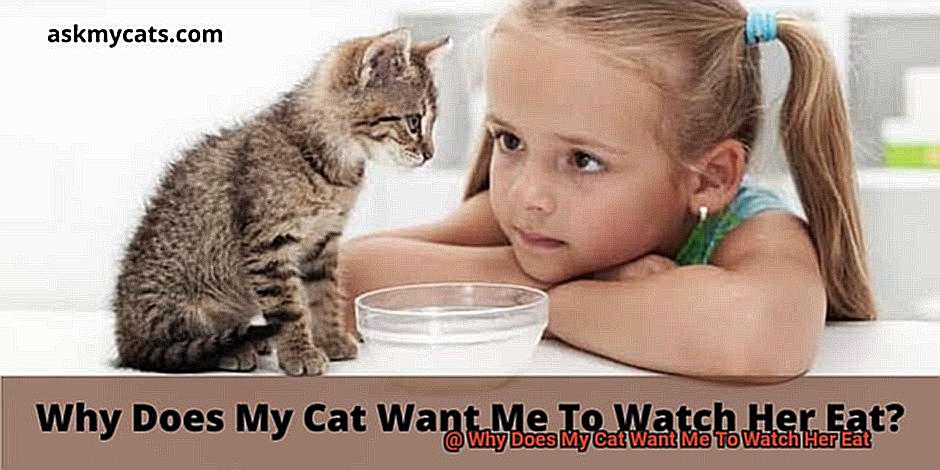 Why Does My Cat Want Me To Watch Her Eat-2