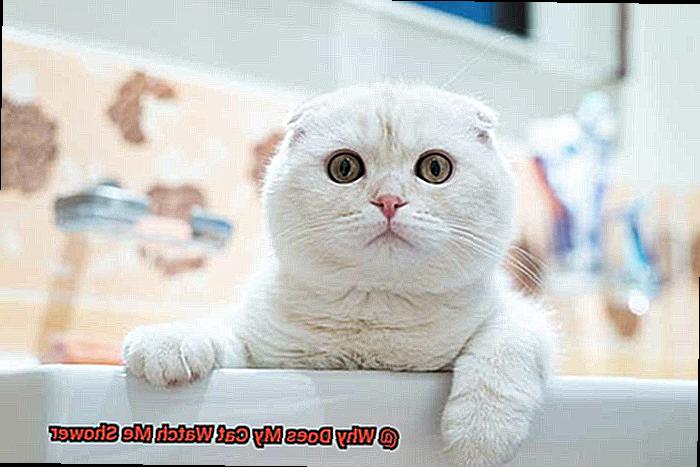 Why Does My Cat Watch Me Shower-2