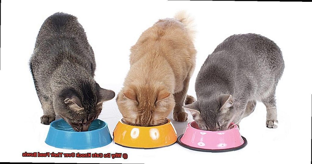 why-is-my-cat-attacking-or-hissing-or-growling-at-her-kittens-21cats