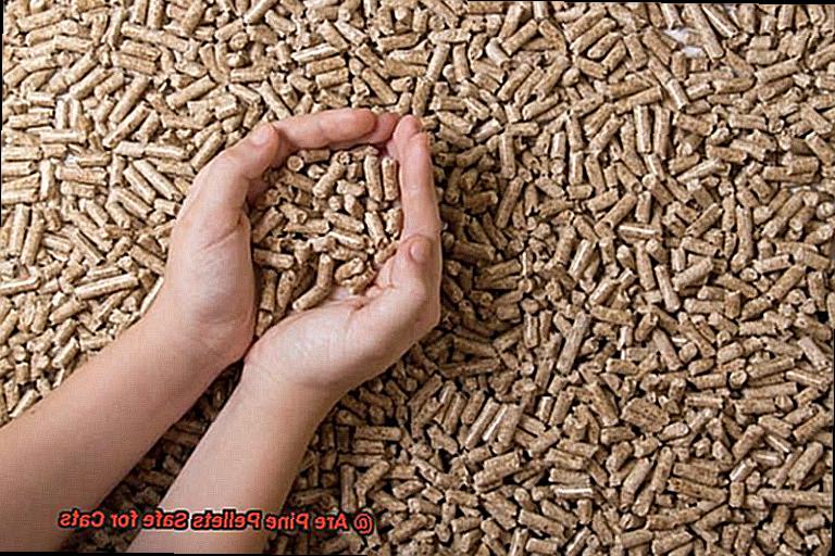 Are Pine Pellets Safe for Cats-2