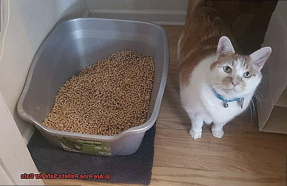 Are Pine Pellets Safe for Cats-5