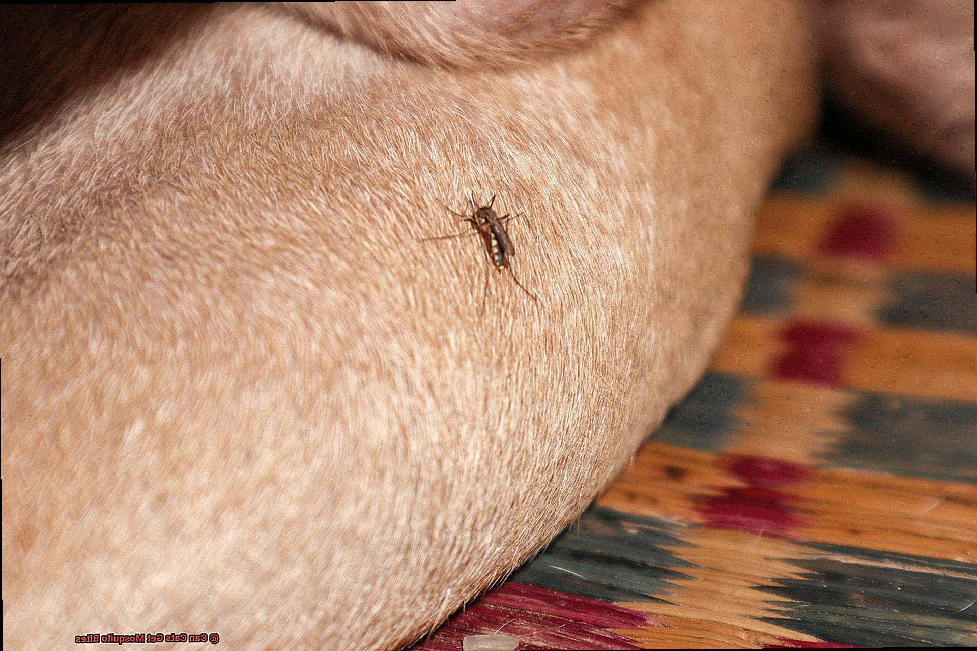 Can Cats Get Mosquito Bites?