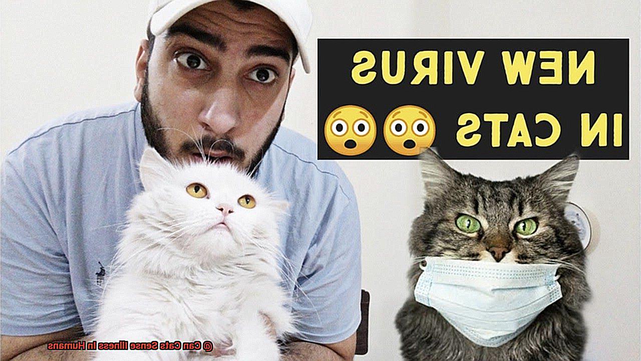 Can Cats Sense Illness In Humans-2