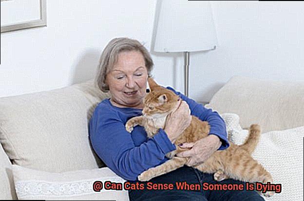 Can Cats Sense When Someone Is Dying-2