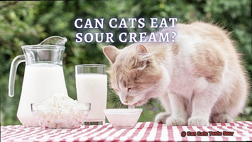 Can Cats Taste Sour-4