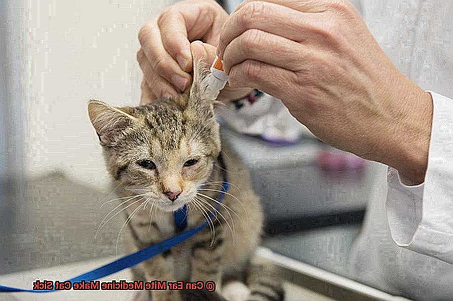 Can Ear Mite Medicine Make Cat Sick-2