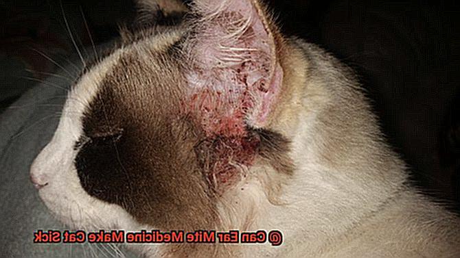 Can Ear Mite Medicine Make Cat Sick-6