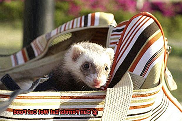 Can Ferrets Eat Wet Cat Food-2