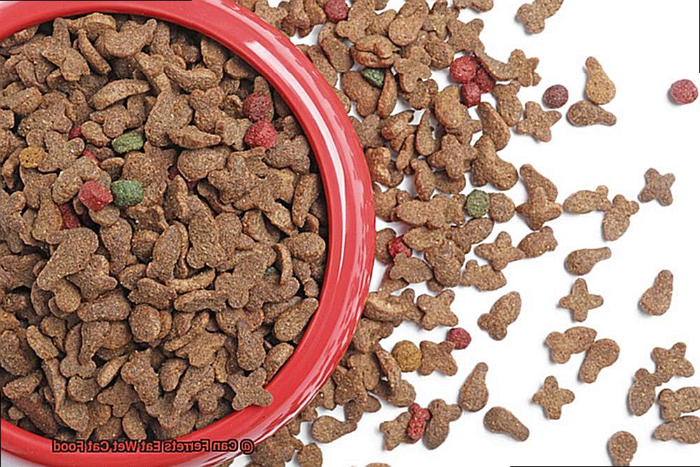 Can Ferrets Eat Wet Cat Food-5