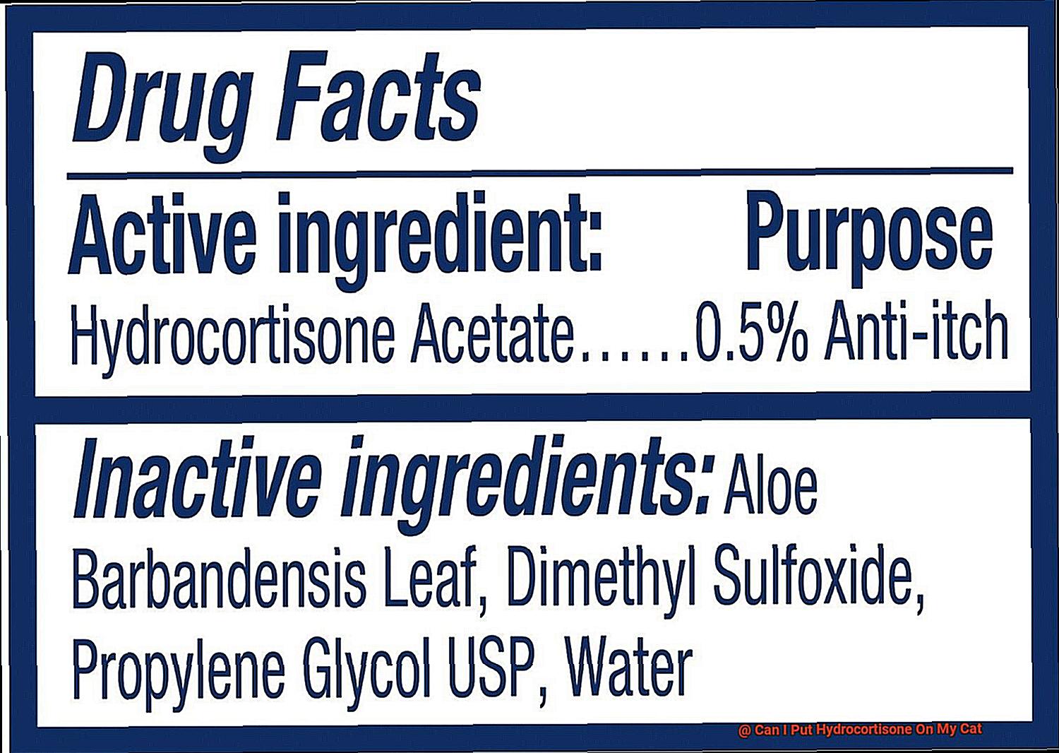 Can I Put Hydrocortisone On My Cat-2