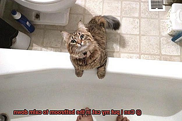Can I put my cat in the bathroom to calm down-3