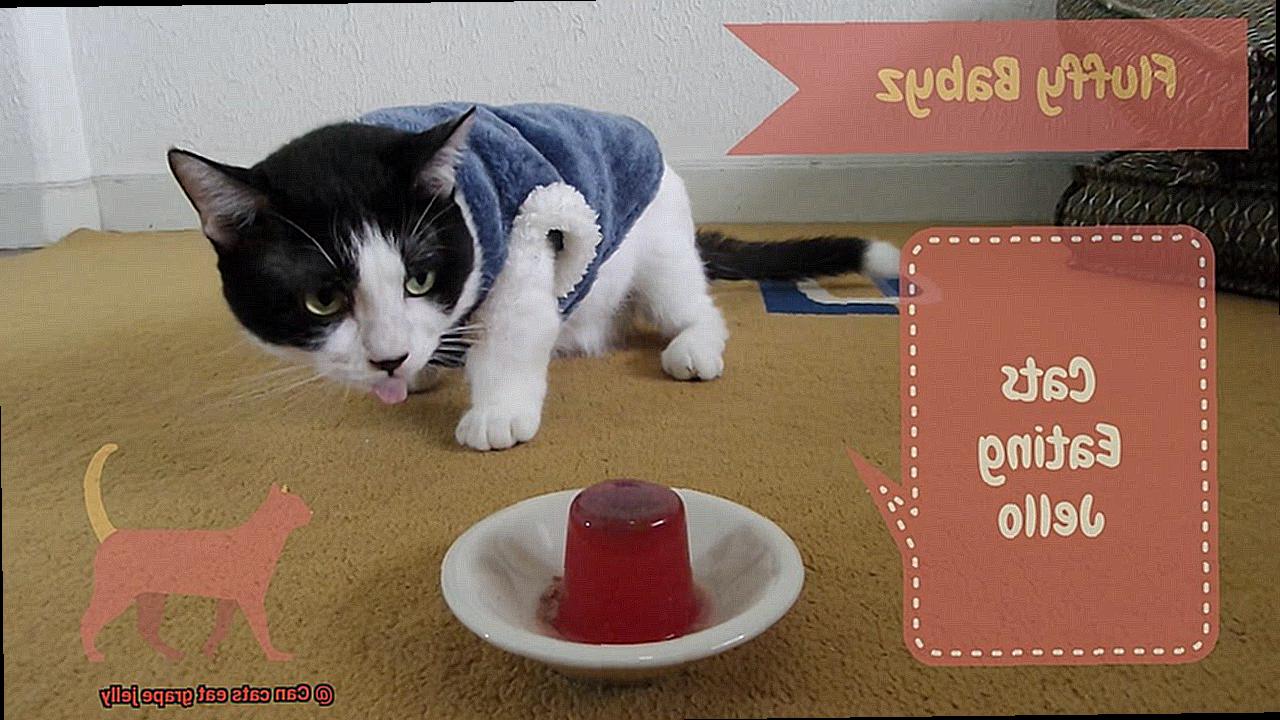 Can cats eat grape jelly-5